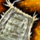 Recipe sheet exotic bag.png