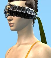 Resplendent Curtain.jpg