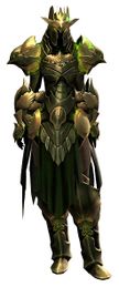 Sentinel Outfit