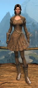 Appearance on light armor.