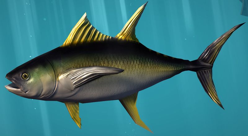 File:Tuna.jpg