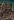 Umbral Battlegrounds map.jpg