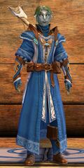 Astral Ward Skirmisher sylvari male 3.jpg