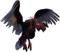 Bestiary Bird.jpg