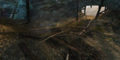 Thumbnail for version as of 23:40, 7 February 2021