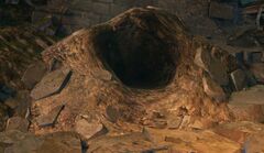 Graveling Burrow.jpg