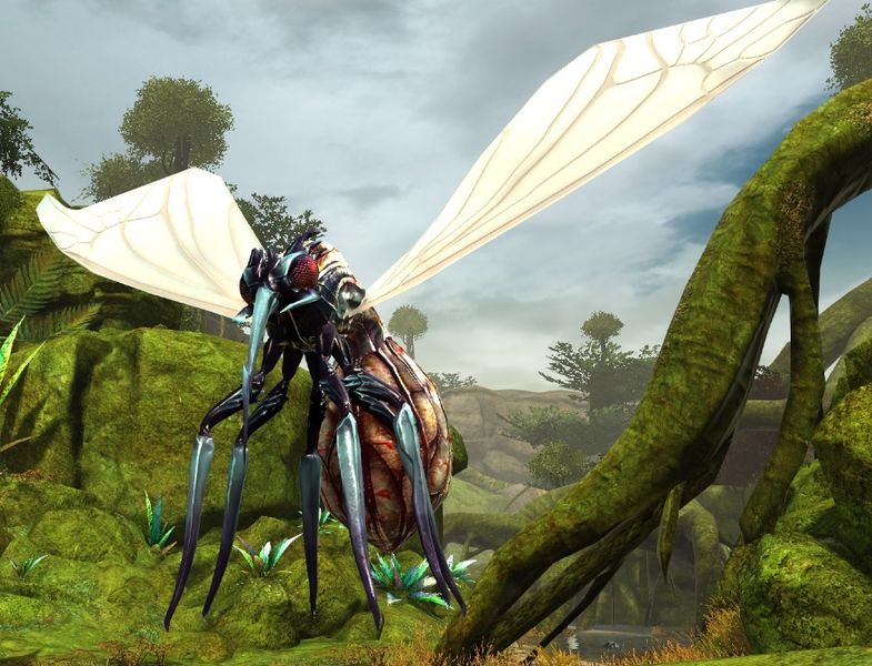 File:Mosquito.jpg