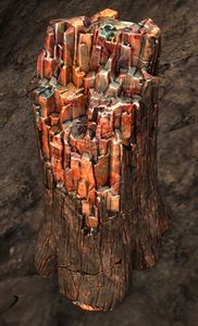 Petrified Stump.jpg