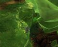 Thumbnail for version as of 16:38, 3 March 2023
