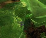 Playing with the Infants4-location.jpg