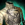 Slumbering Mistforged Glorious Hero's Brigandine Skin.png