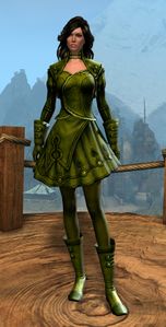 Appearance on light armor.