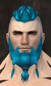 Unique norn male hair front 16.jpg