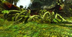 Choking Vines.jpg