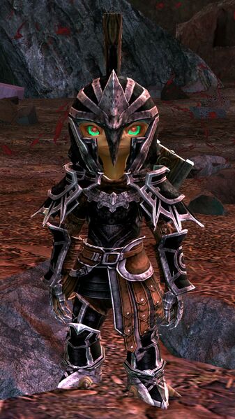 File:Crazed Vigil Crusader.jpg