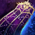 Delicate Lace Cape.png