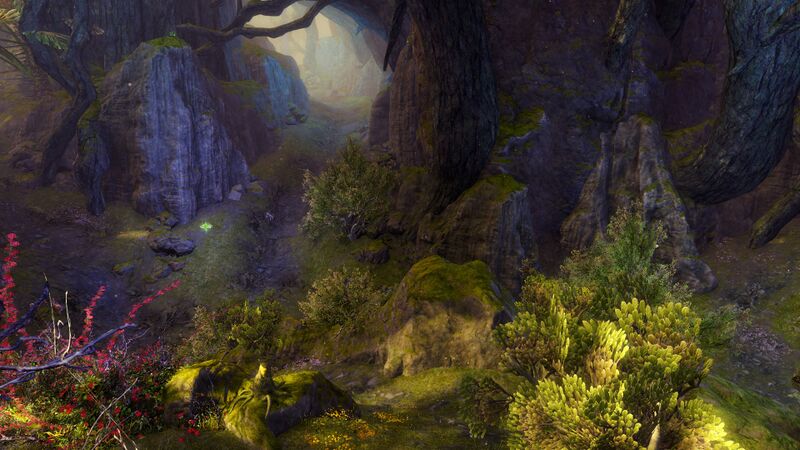 File:Echovald Forest (Ferndale).jpg