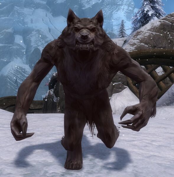 File:Eir Stegalkin (wolf form).jpg