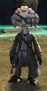 Explorer Hiffa.jpg