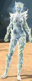 Frozen Regalia Outfit
