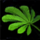 Haresfoot Herb.png