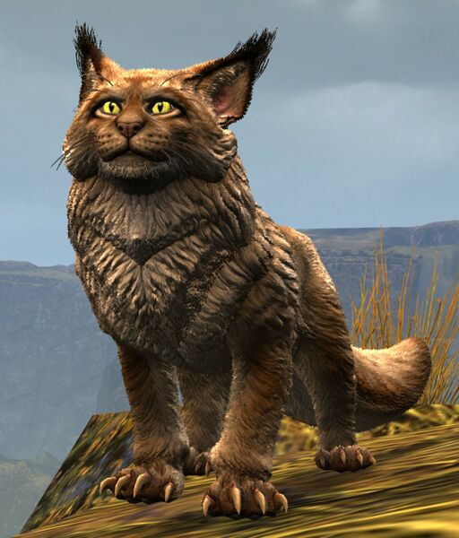 File:Juvenile Warclaw.jpg