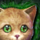 Mini Orange Kitten.png