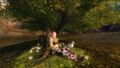 Thumbnail for version as of 17:08, 25 April 2023