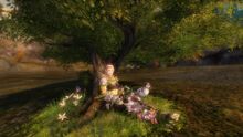 Quiet Woods Chair promo.jpg