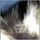 Rag.png