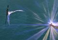 Projectile