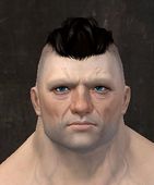 Unique norn male face front 6.jpg