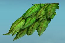 Verdant Roof.jpg