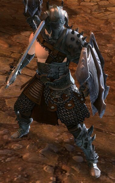 File:Veteran Ascalonian Fighter (human).jpg