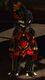 Asura male