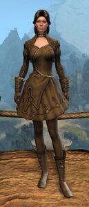 Appearance on light armor.