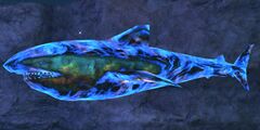 Astral Shark.jpg