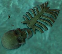 Dwarven Skeleton.jpg