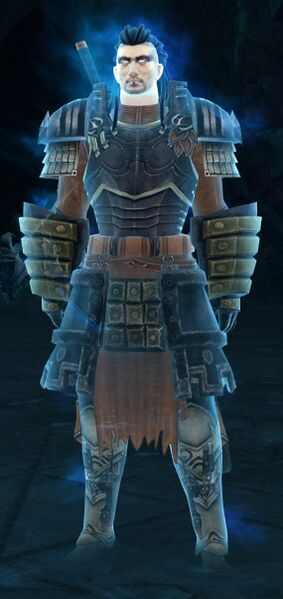 File:Kurzick Warrior (male alt).jpg