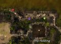 Location dug deep.jpg