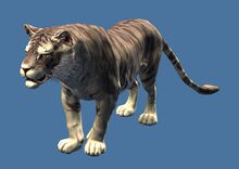Mini Lunar Tiger.jpg