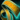 Seaside Scholar's Sash.png