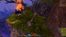 Skyscale Egg 11.jpg