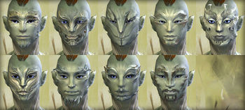Sylvari male faces.jpg