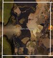 Thumbnail for version as of 20:13, 4 June 2025