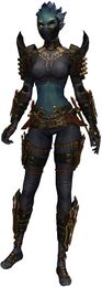 True Assassin's Guise Outfit