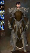 User Kristofferus GuildMedHumanMale.jpg
