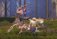 Veteran Sky-Chak Blitzer.jpg