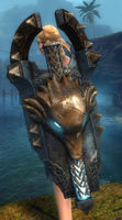 Braham's Shield Skin wielded.jpg