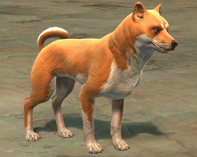 File:Canthan Shiba.jpg